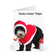 Load image into Gallery viewer, Greeting Cards (5 Pack) Christmas Card Santa's Senior Helper