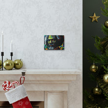 Load image into Gallery viewer, Canvas Gallery Wrap Frederick Douglass