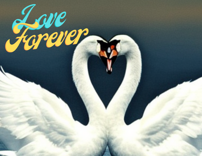 "Valentine's Day: Celebrating God's Unconditional Love for the World"