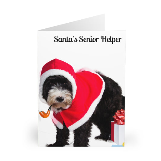 Greeting Cards (5 Pack) Christmas Card Santa's Senior Helper