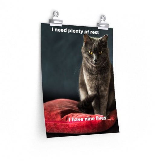 Cat's Premium Matte vertical posters