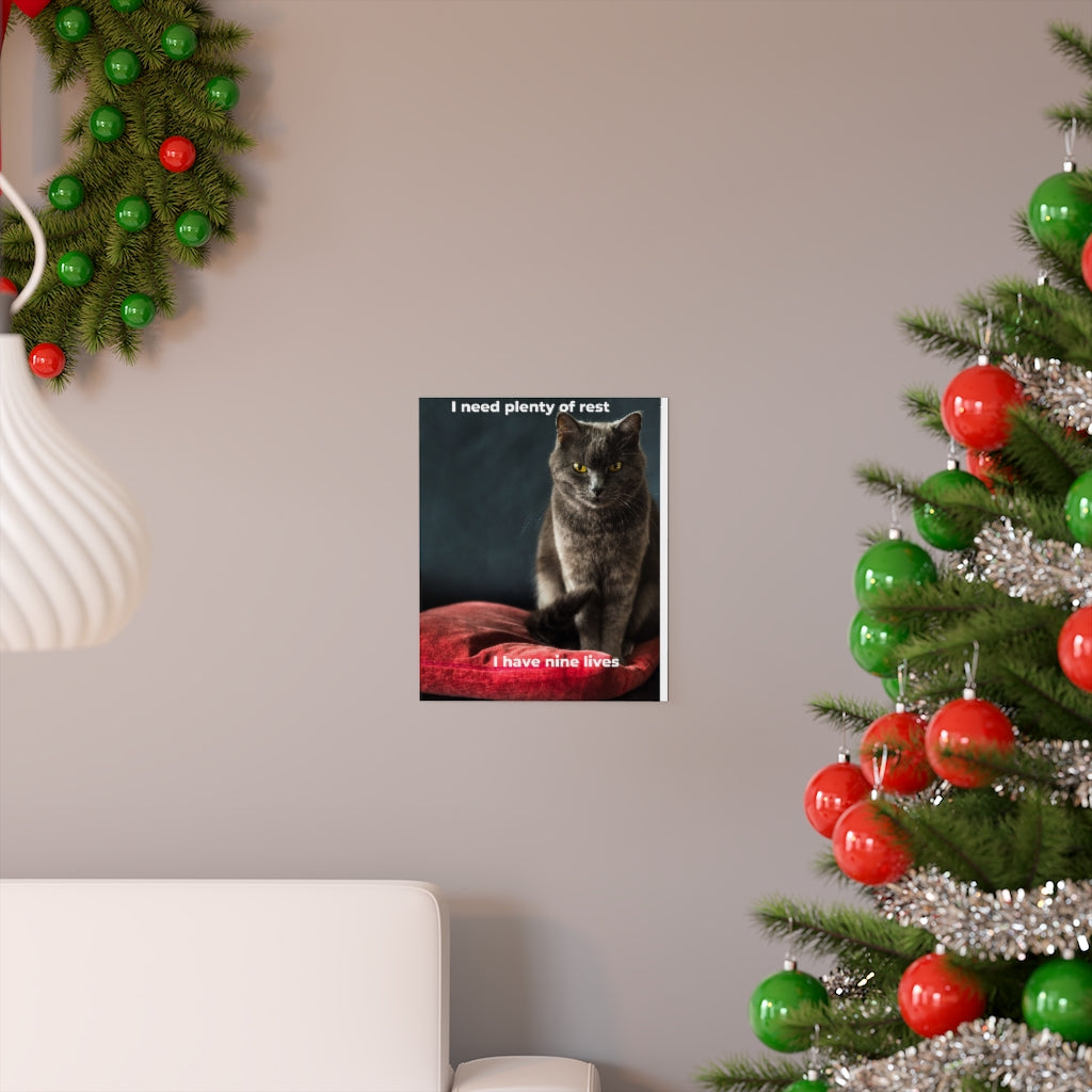 Cat's Premium Matte vertical posters