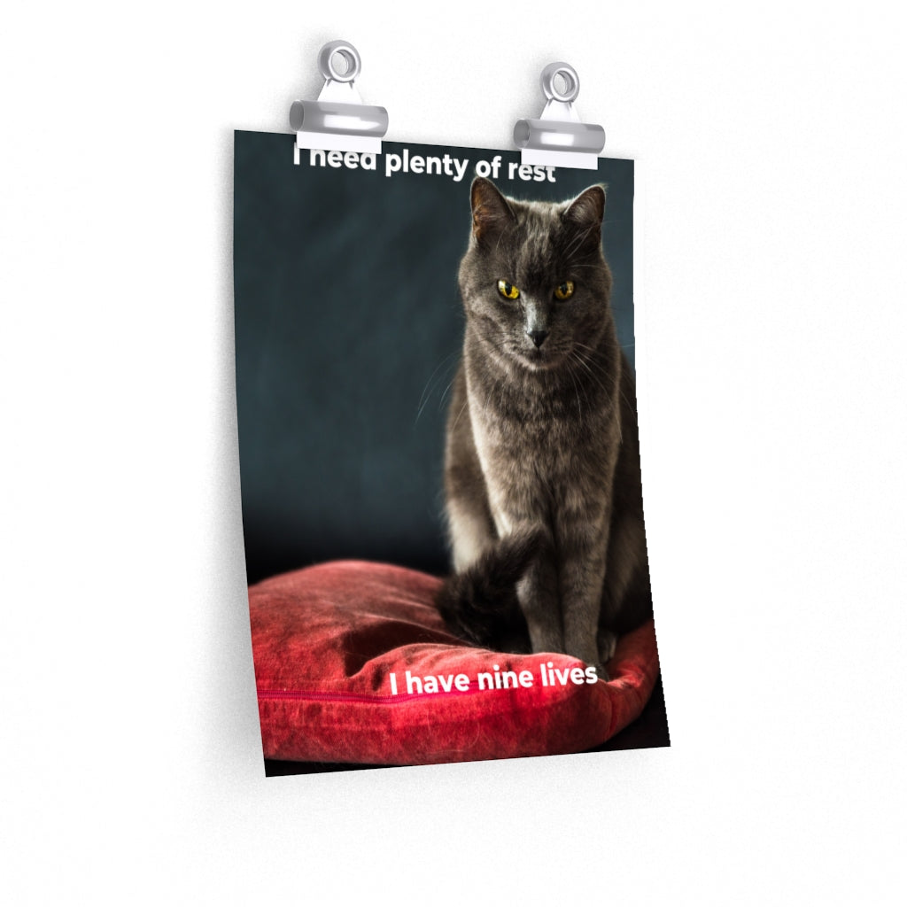 Cat's Premium Matte vertical posters