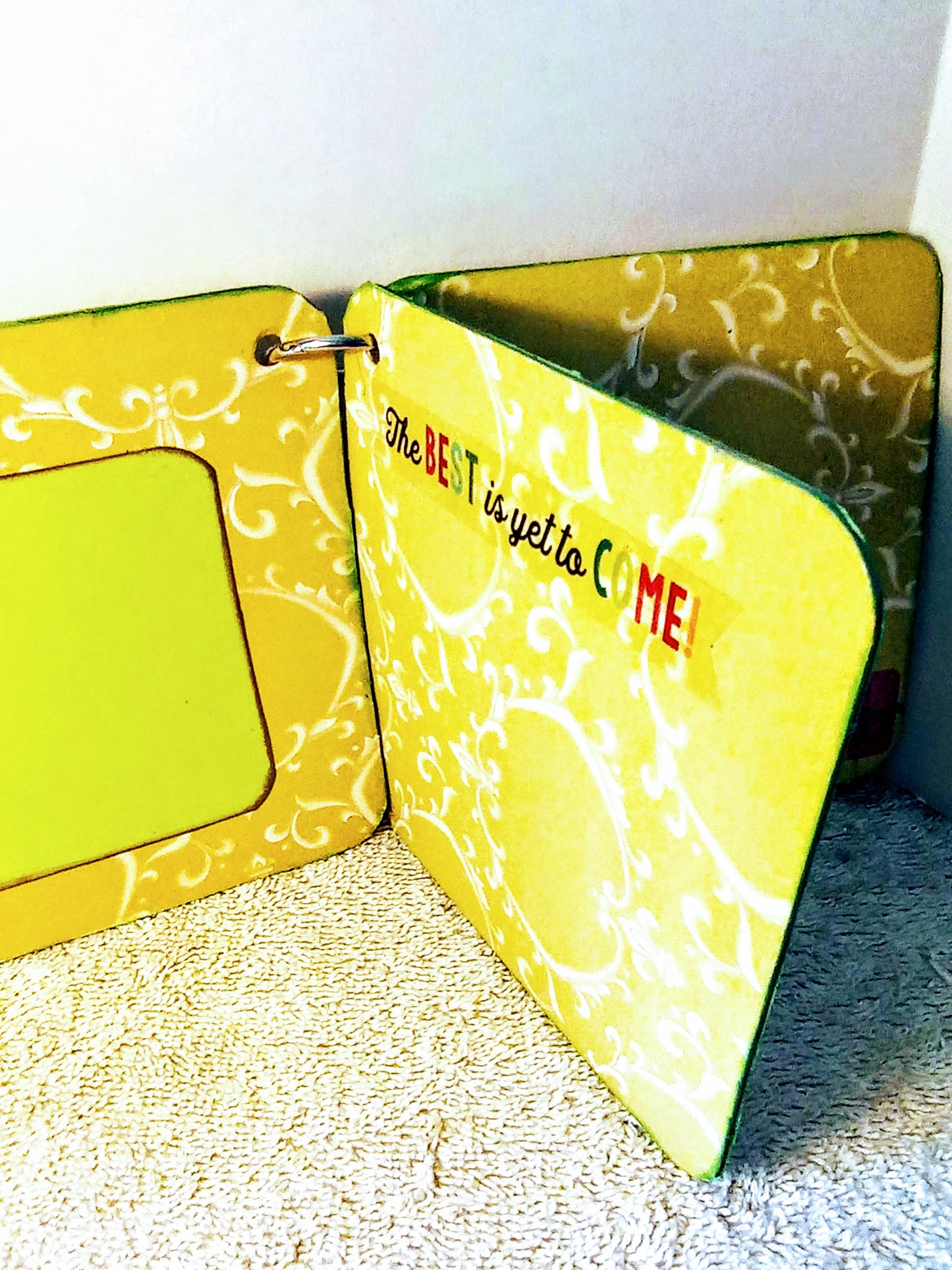 Mini Brag book Christmas Present